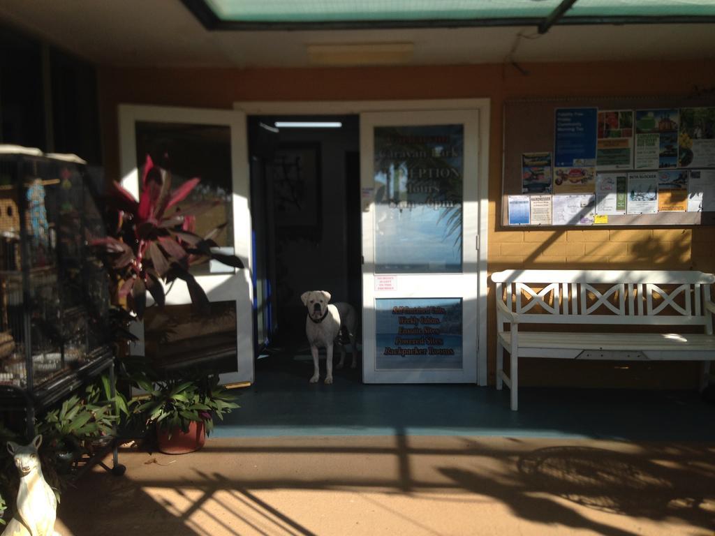 Carnarvon Caravan Park ภายนอก รูปภาพ